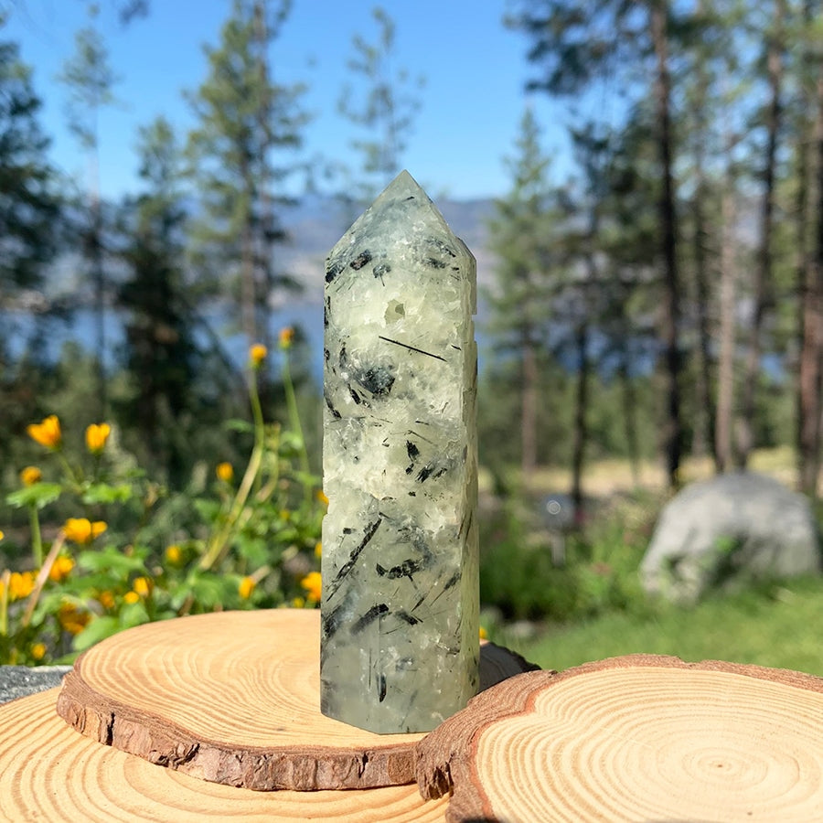 Prehnite With Black Tourmaline Wand - wand