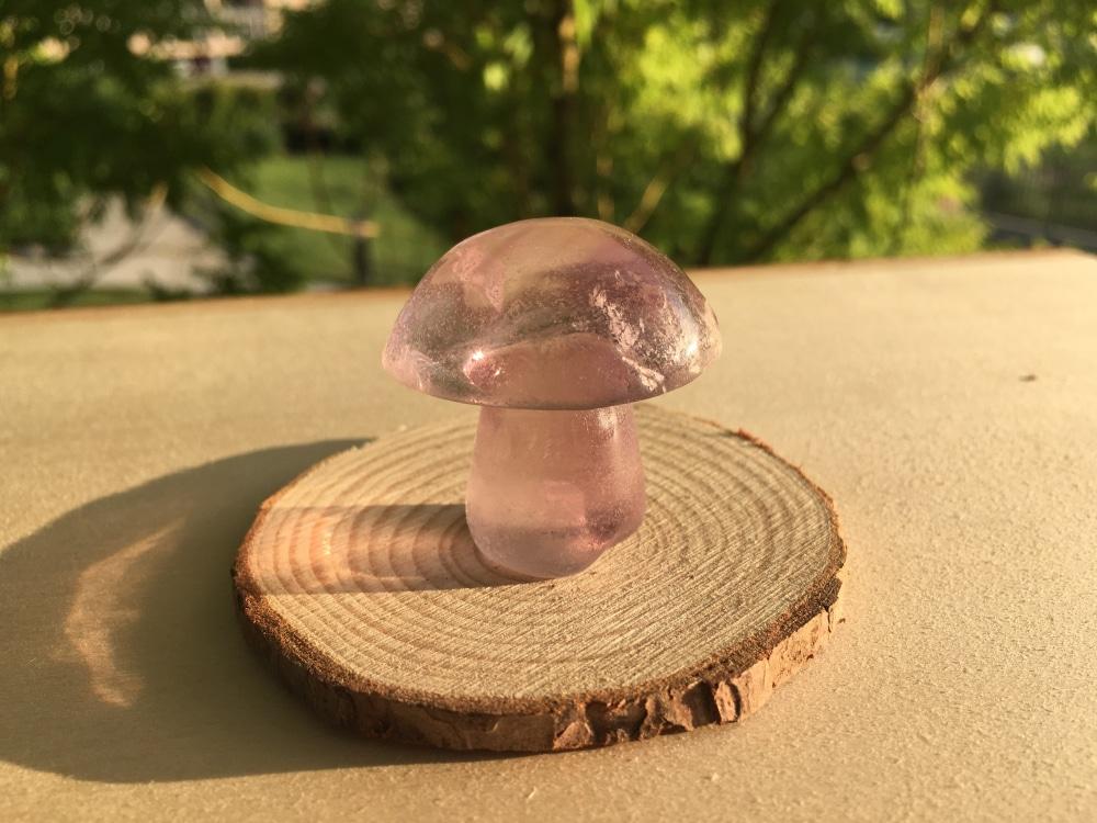 Purple Fluorite Mushroom