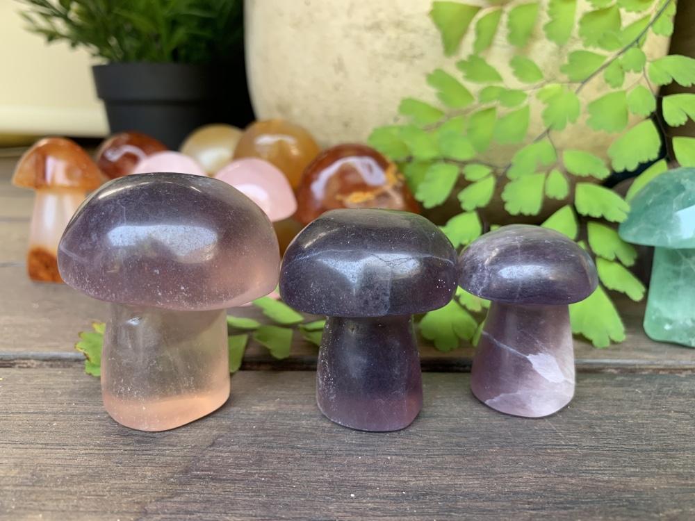 Purple Fluorite Mushroom - mushroom