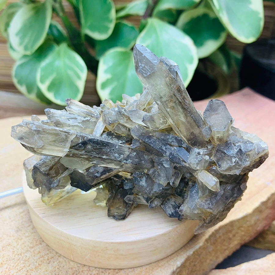 Copy of Smoky Quartz Cluster - clustergeode