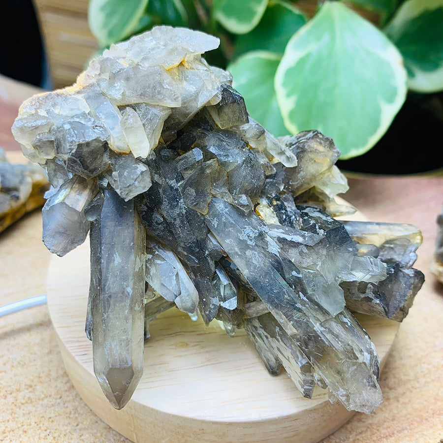 Copy of Smoky Quartz Cluster - clustergeode